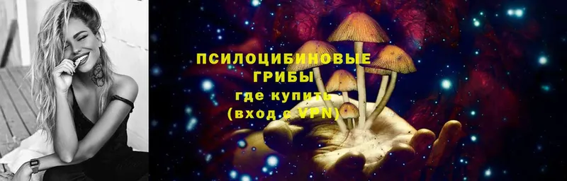 Галлюциногенные грибы Psilocybine cubensis  Тобольск 